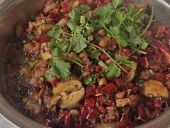 -食神又名厕所兔