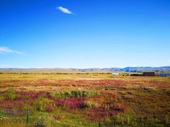 -青海湖国家重点风景名胜区