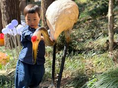 -东明山森林公园
