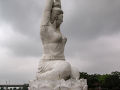 -荷塘月色湿地公园·向阳花洲