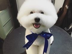 -Oh My Dog宠物沙龙(伊珊娜皮毛护理店)