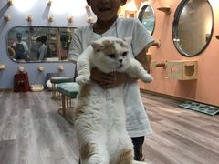 -BABIT巴比特宠物(MOMOPARK店)