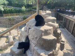 -石家庄市动物园