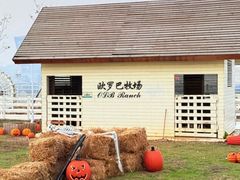 -华谊兄弟（长沙）电影小镇