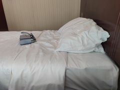 -维也纳酒店(深圳国际会展中心沙井上南店)