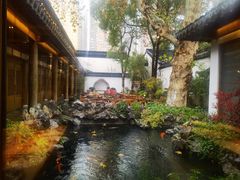 -鲤院·新中式美学·庭院餐厅(夫子庙店)