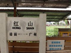 -红山村