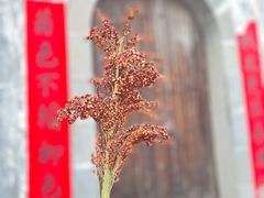 -呈坎景区