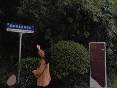 -十八棵（老龙井）御茶园(老龙井店)