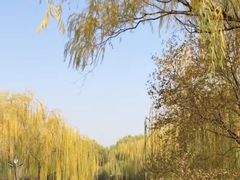-南翠屏公园