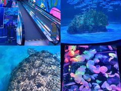 -正佳极地海洋世界