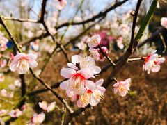 -幕燕滨江·长江观音景区