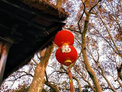 -上海醉白池公园