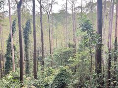 -水濂山森林公园