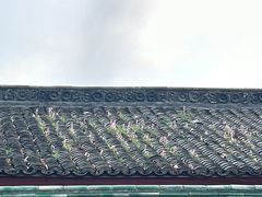 -老味道1992(武当山店)