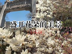 -崂山仰口游览区