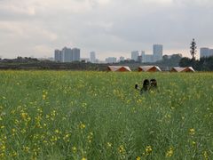 -光明小镇欢乐田园