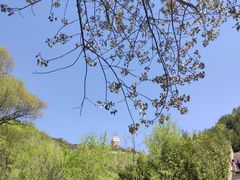 景点-蒙山大佛景区