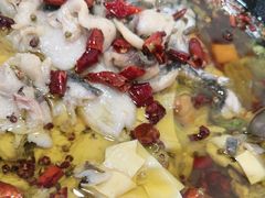 -金三可市井水煮鱼(金碧园店)