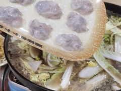 -顺德哥卜卜贝(旗舰店)