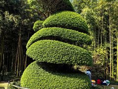 -苏州河梦清园环保主题公园