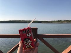 -丁香湖公园