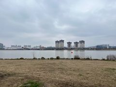 -九龙湖公园