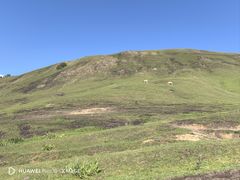 -新疆那拉提国家旅游度假区