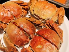 -深圳隐秀山居酒店