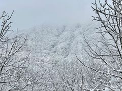-秦岭风景区