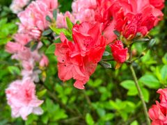 -梧桐山风景名胜区