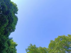 -东莞植物园