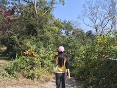 -青龙山国家森林公园