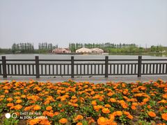 -上海长兴岛郊野公园