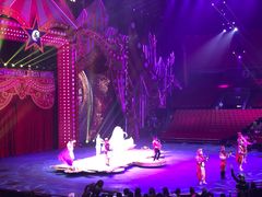 -珠海横琴长隆《卡卡虎奇遇记》