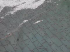 -天山海世界·米立方