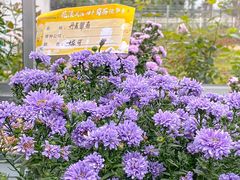 -武汉市园林科普公园