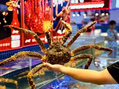 -驻海渔市(置信店)
