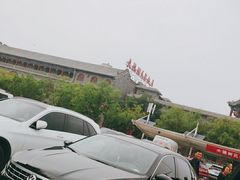 -大槐树寻根祭祖园