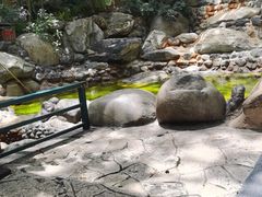 -湖泉半山温泉