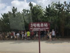 -日照海滨国家森林公园