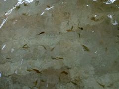 -碧水湾温泉
