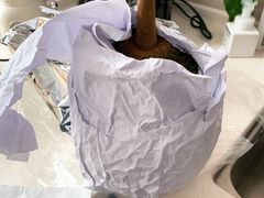 -Olé精品超市(沈阳万象城店)