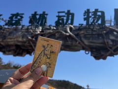 -大连森林动物园