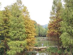 -云溪植物园