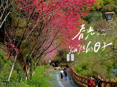 -杭州半山国家森林公园