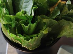 -探窝·竹笙椰子鸡(杨箕店)