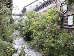 -运河游船(武林门码头)