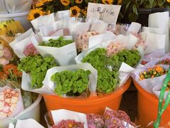 -双季花艺园艺市场(浦东店)