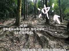 -火炉山森林公园